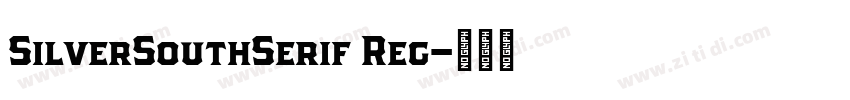 SilverSouthSerif Reg字体转换